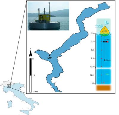 High-frequency monitoring through in-situ fluorometric sensors: A supporting tool to long-term ecological research on lakes